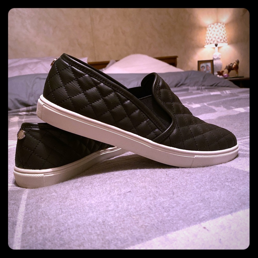 Steve Madden Ecentrq slip on sneakers
